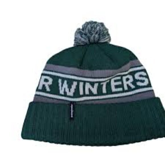 Patagonia Other - Patagonia Protect Our Winters POW PRO Beanie Knit Pom Green Gray Mens Hat